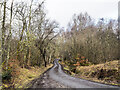 Tarmacked hill road heading north towards public road