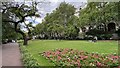 TQ3080 : Whitehall Gardens, Victoria Embankment by Bryn Holmes