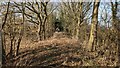 Line of the former Severn Valley Railway