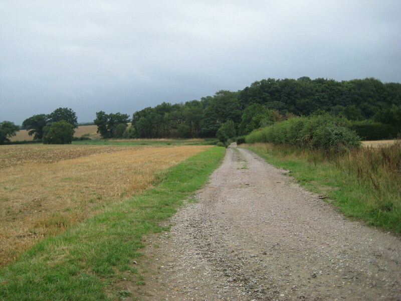 Track and Gateley Gravel Pit Plantation © Jonathan Thacker cc-by-sa/2.0 ...