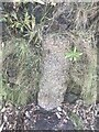 Old Boundary marker within wall beside Agar Road, Pool