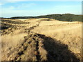 Clawdd pridd ar rostir / Earthen bank on moorland