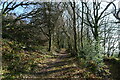 The Sid Valley Ring footpath on the flank of Fire Beacon Hill