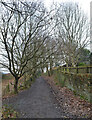 The Kirklees Way near Prince Royd, Huddersfield