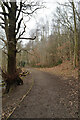 Footpath near Grimescar Dike, Cowcliffe Plantation, Huddersfield