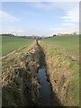 NZ2935 : Field drainage near Broom Hill Farm by David Robinson