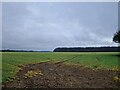 Field to the east of Brislands Lane