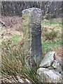 Old Boundary Marker on Harewood Moor