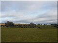 Looking towards Debdale Equine Centre