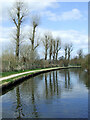 Staffordshire and Worcestershire Canal near Fordhouses, Wolverhampton