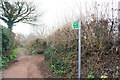 Path leading to Nut Bush Lane, Torquay