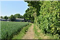 Field edge bridleway