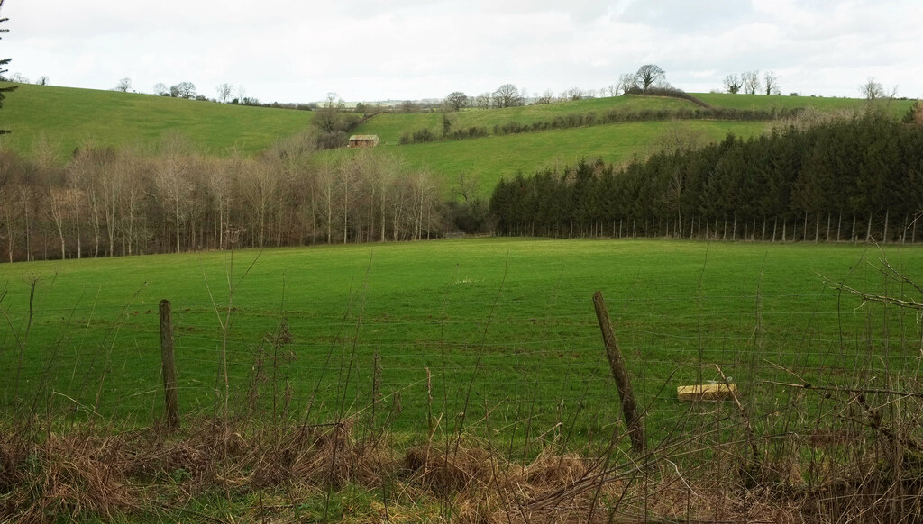 Woods and fields near Fanville Head Farm © Derek Harper cc-by-sa/2.0 ...