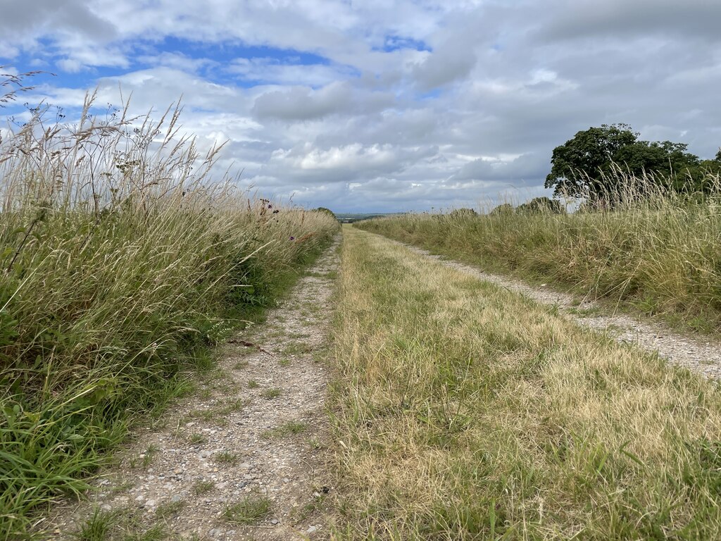 Track towards Borough Farm © Fernweh cc-by-sa/2.0 :: Geograph Britain ...