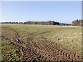 Field on Lanton Hill