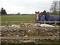 Stone Stile, Shipton Moyne