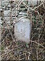 Milestone - Brecon 6