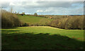 Field near Fanville Farm