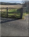 Field gates, Horse Lane, Morton, South Gloucestershire