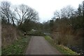 Fallen tree following Storm Otto