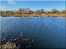 SP2964 : Fishing lake in winter, Myton Fields, Warwick by Robin Stott