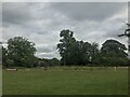 Field by Sharpes Lane, Bourne End