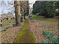 Haywards Heath Cemetery - top path, south side