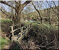 SO7295 : Footbridge along the River Severn by Mat Fascione