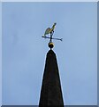 Weather vane