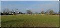 A field, Greenwich Farm, Brearton