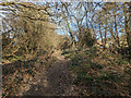 Path east from Haywards Heath Cemetery