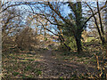 Path east from Haywards Heath Cemetery