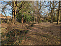 Haywards Heath Cemetery - Perimeter Nature Walk