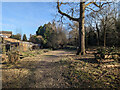 Haywards Heath Cemetery - Perimeter Nature Walk