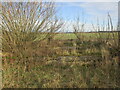 The remains of the church of St John the Divine, Wildsworth