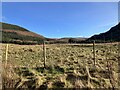 View from Inverlael Forest car park