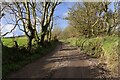 Public bridleway near Bosence