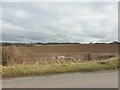 Farmland off Cutting Hill