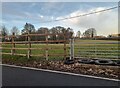 Field by Souldrop Road, Sharnbrook