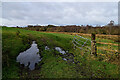 Muddy entrance to field, Botera Llower