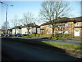 Houses on Peat Road