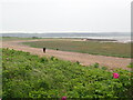 One man and his dog on the Millennium Coastal Path