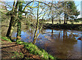 The River Ayr