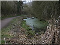 Old Shrewsbury Canal