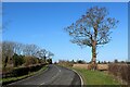 Road between Riccall and Kelfield