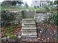 SO5602 : Stone Stile, Hewelsfield by Mr Red