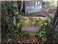 Stone Stile, Woolaston Common