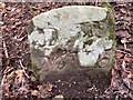 SO5916 : Dean Forest Boundary Stone, Lydbrook by David Viner