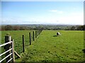 Public footpath near Warnell Hall