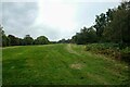 SJ2530 : The Offa's Dyke Path on Racecourse Common by Jeff Buck